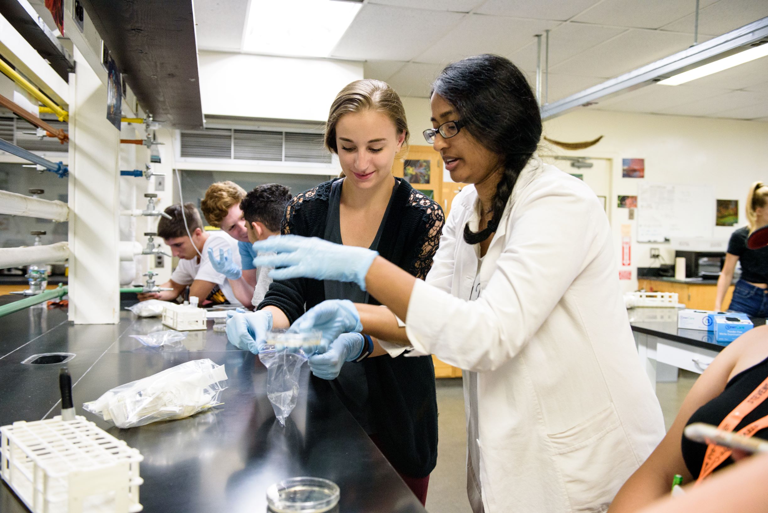 Students conduct research in a lab
